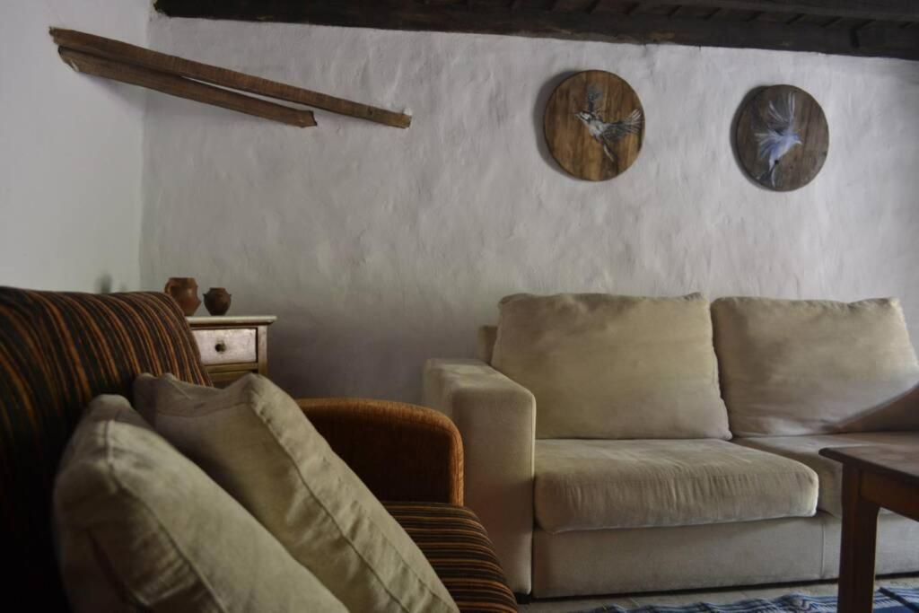Casa Rural Lomito Del Pino Tejeda  Eksteriør bilde