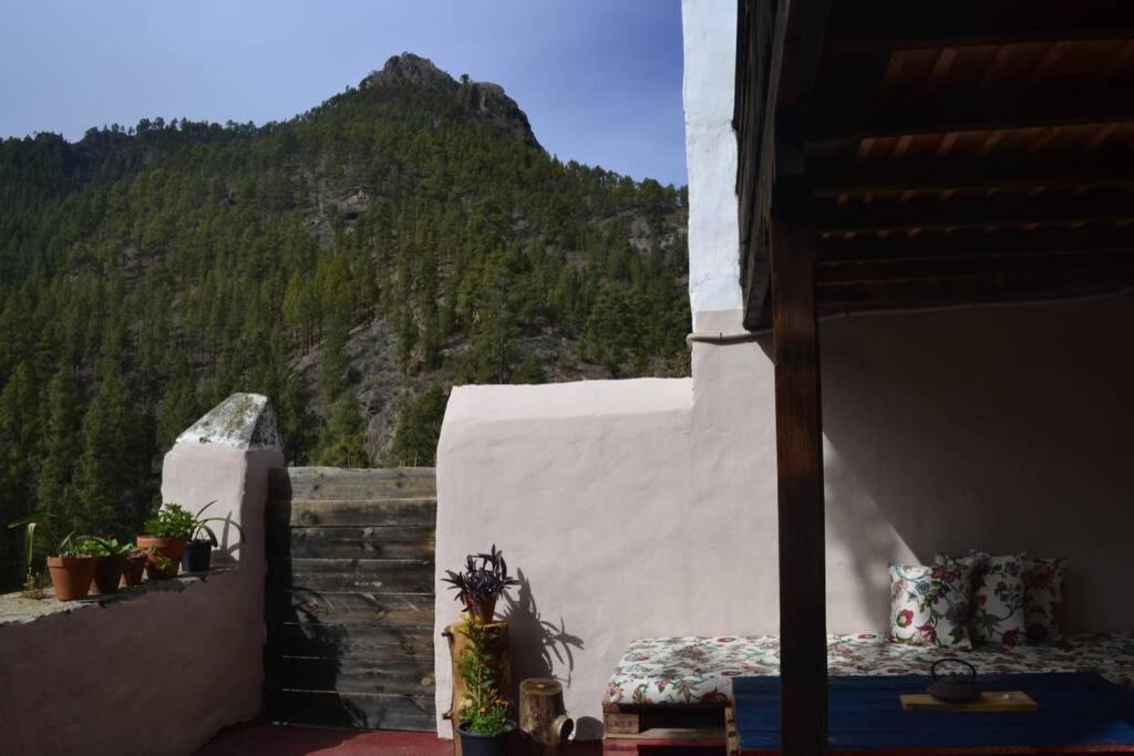 Casa Rural Lomito Del Pino Tejeda  Eksteriør bilde