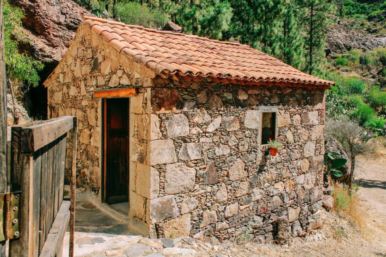 Casa Rural Lomito Del Pino Tejeda  Eksteriør bilde
